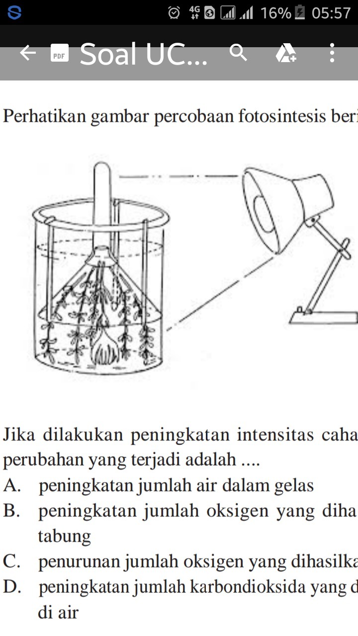 Detail Gambar Percobaan Fotosintesis Nomer 17