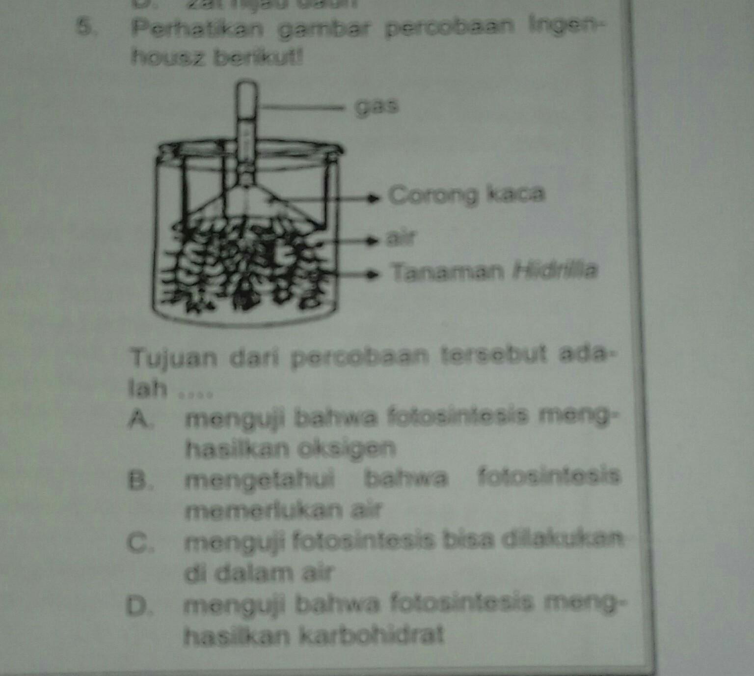 Detail Gambar Percobaan Fotosintesis Nomer 36