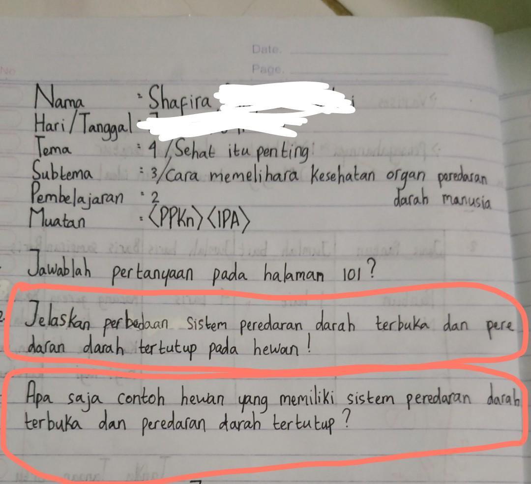 Detail Gambar Peredaran Darah Pada Hewan Nomer 29