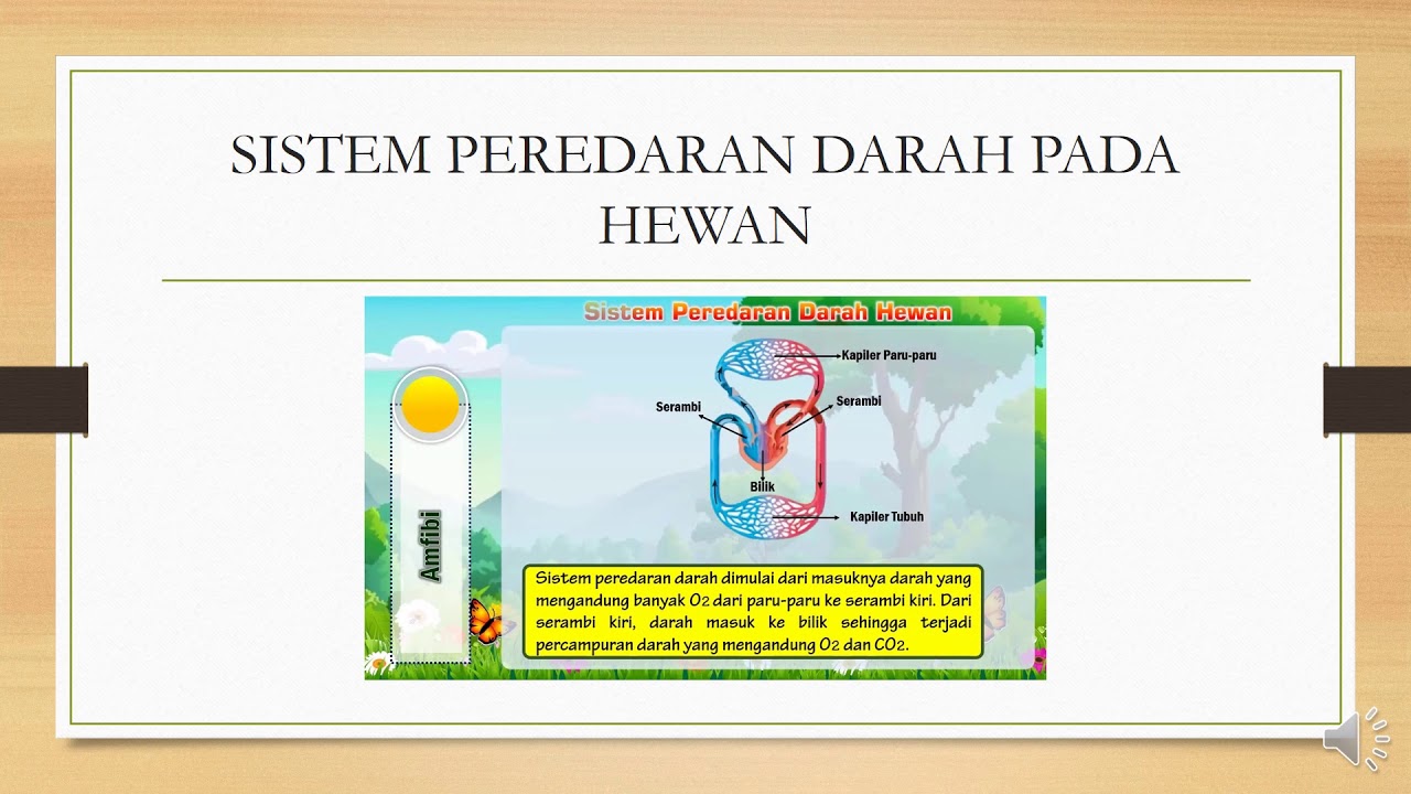 Detail Gambar Peredaran Darah Pada Hewan Nomer 31