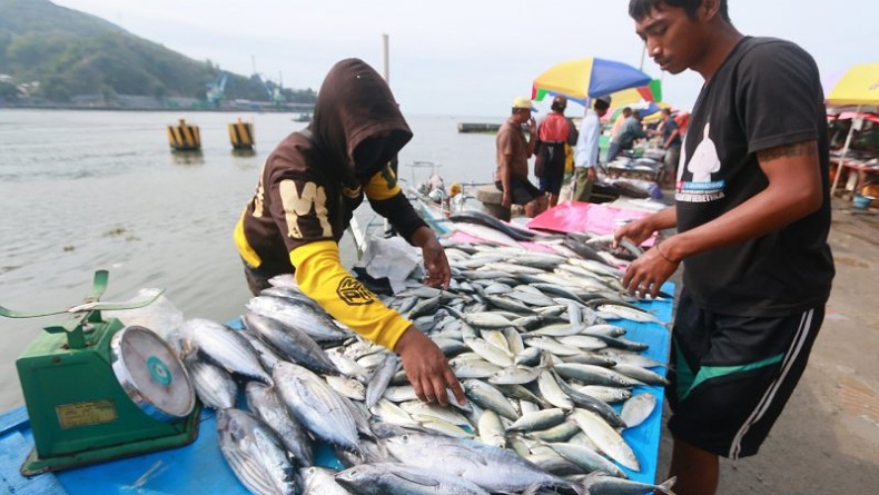 Detail Gambar Perikanan Laut Nomer 28