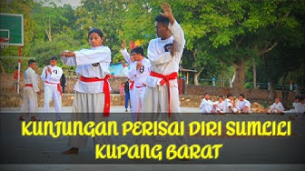 Detail Gambar Perisai Diri Siluet Nomer 40