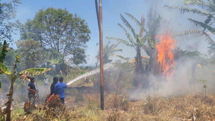 Detail Gambar Peristiwa Kebakaran Hutan Nomer 15