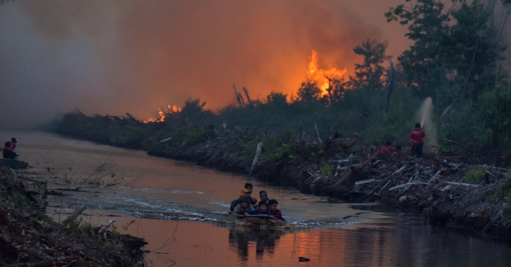 Detail Gambar Peristiwa Kebakaran Hutan Nomer 17