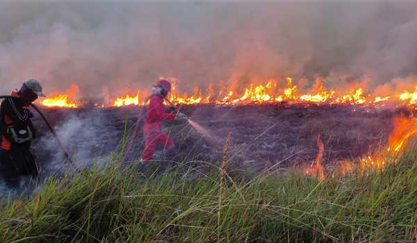 Detail Gambar Peristiwa Kebakaran Hutan Nomer 22