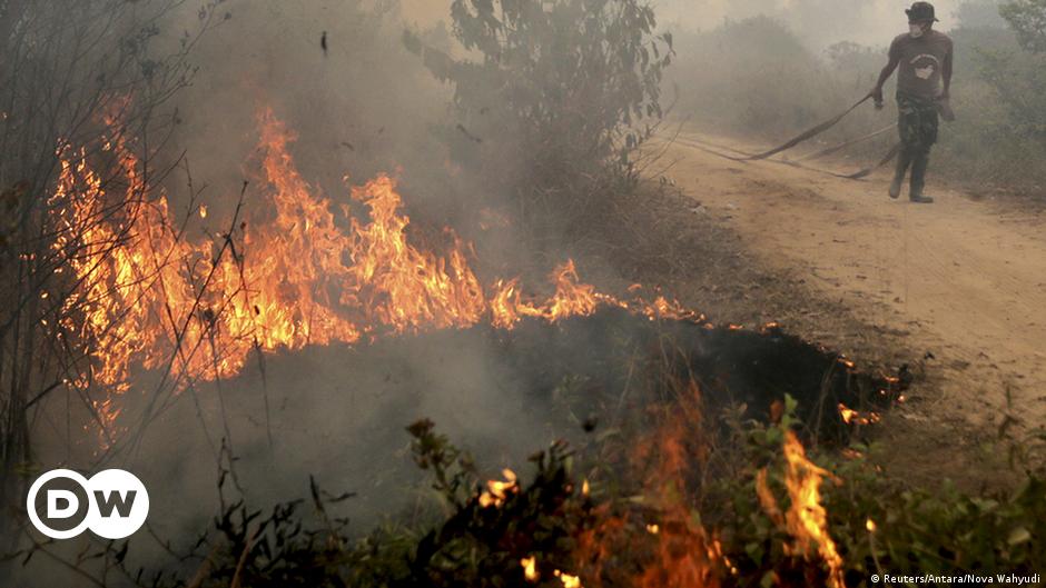 Detail Gambar Peristiwa Kebakaran Hutan Nomer 23