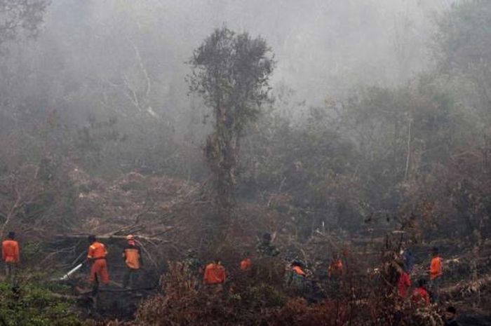 Detail Gambar Peristiwa Kebakaran Hutan Nomer 26