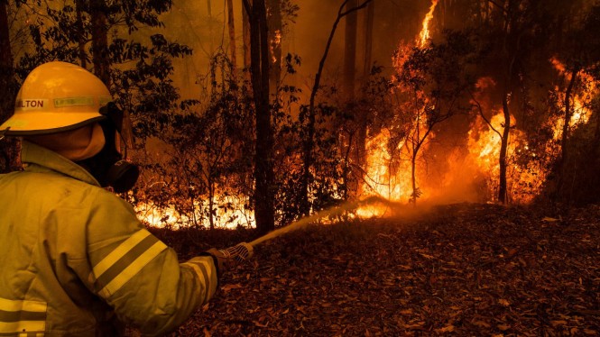 Detail Gambar Peristiwa Kebakaran Hutan Nomer 35