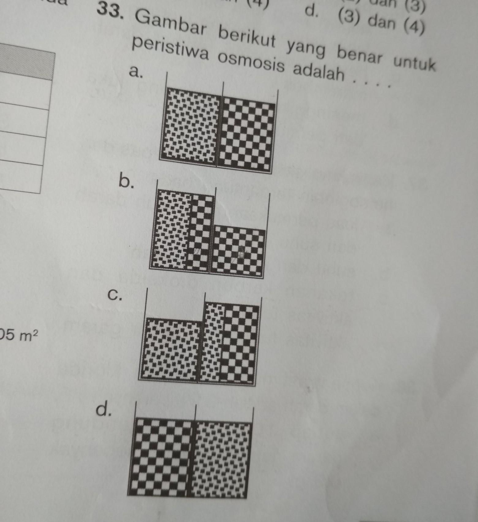 Detail Gambar Peristiwa Osmosis Nomer 12