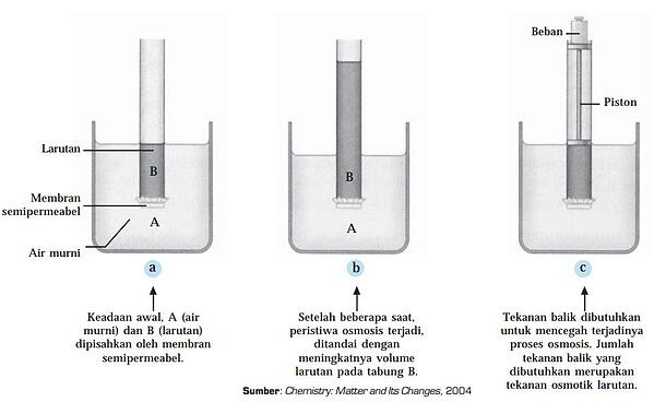 Detail Gambar Peristiwa Osmosis Nomer 7