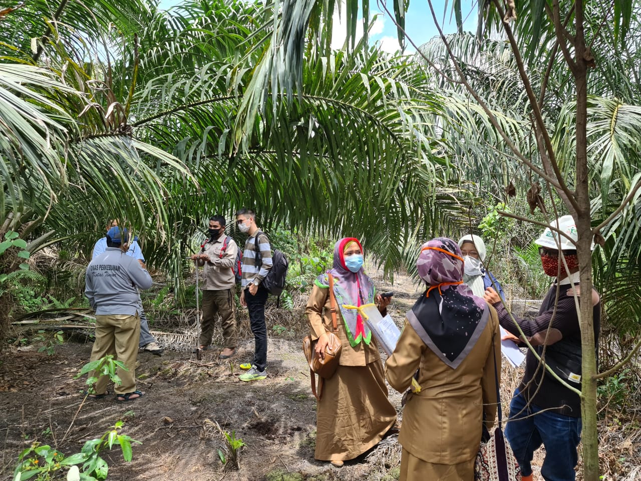 Detail Gambar Perkebunan Besar Nomer 24