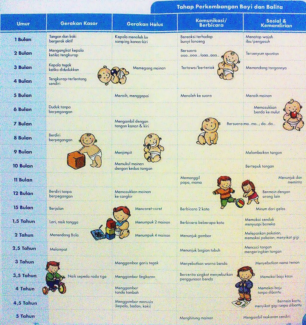 Detail Gambar Perkembangan Bayi Nomer 8