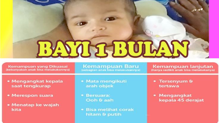 Download Gambar Perkembangan Bayi Putih Nomer 43