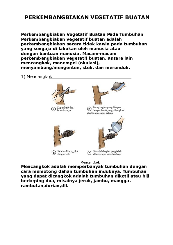 Detail Gambar Perkembangbiakan Dengan Mencangkok Nomer 30