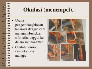 Detail Gambar Perkembangbiakan Dengan Menempel Nomer 32