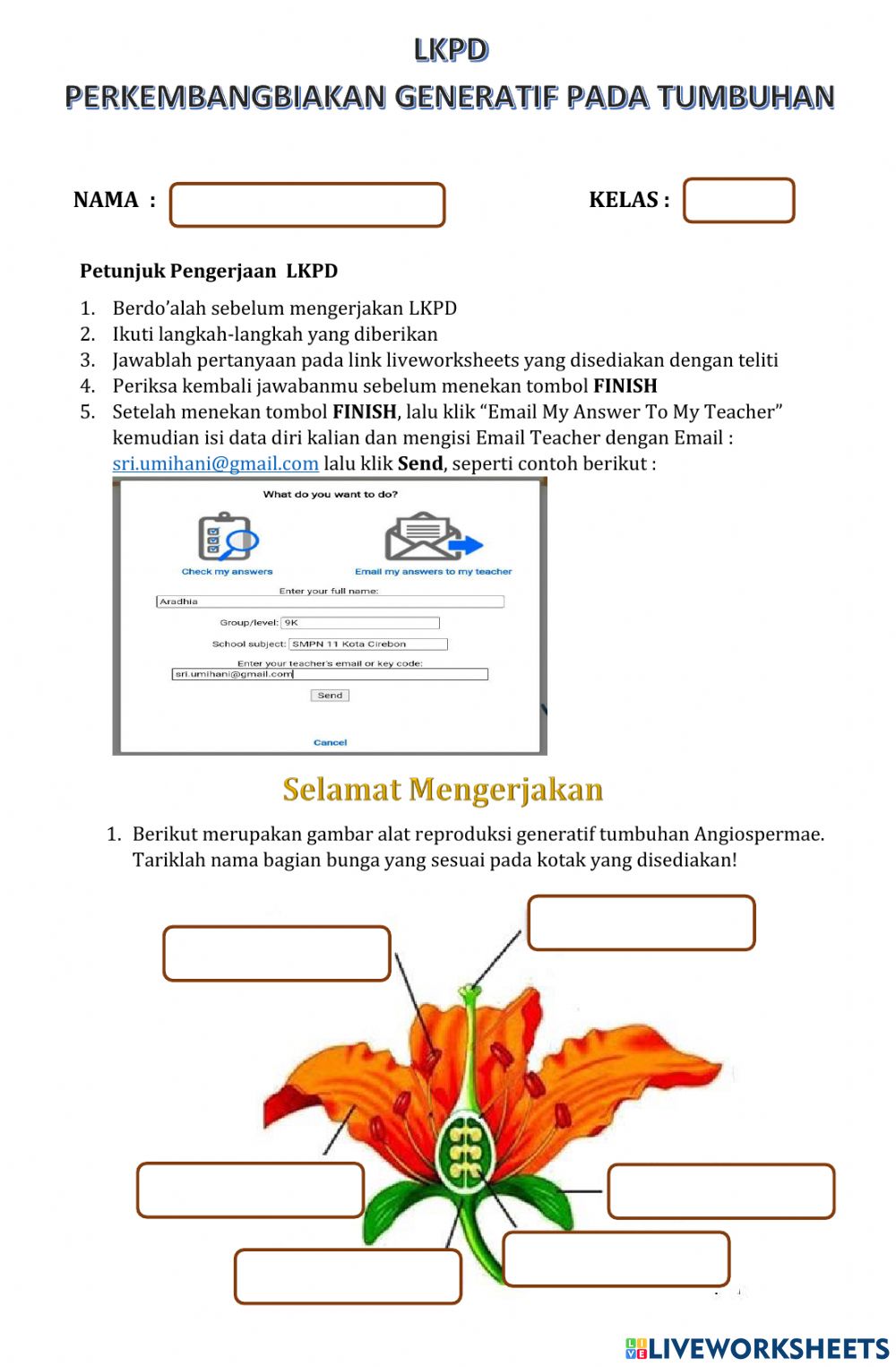 Detail Gambar Perkembangbiakan Generatif Nomer 22