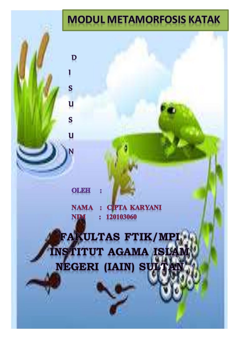 Detail Gambar Perkembangbiakan Katak Nomer 54