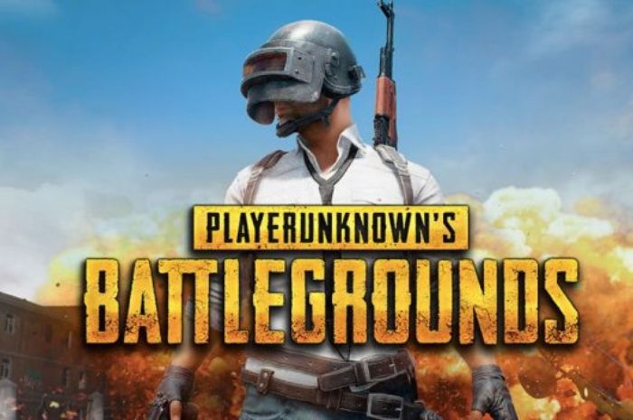 Detail Gambar Permainan Pubg Nomer 6