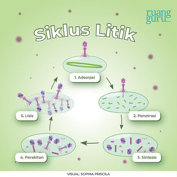 Detail Gambarkan Struktur Virus Secara Umum Nomer 33