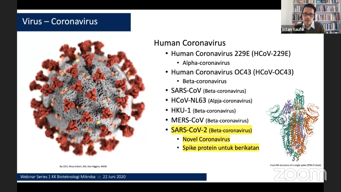 Detail Gambarkan Struktur Virus Secara Umum Nomer 37