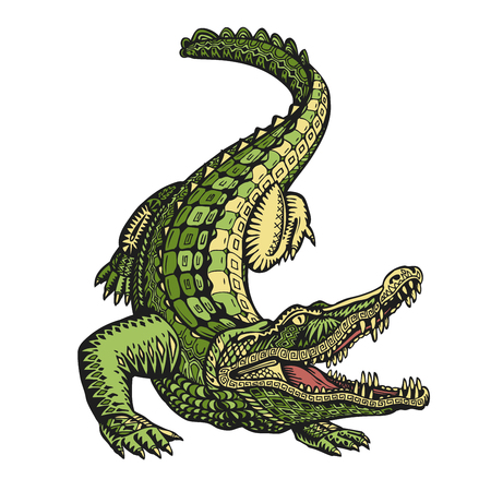 Detail Alligator Bier Nomer 13