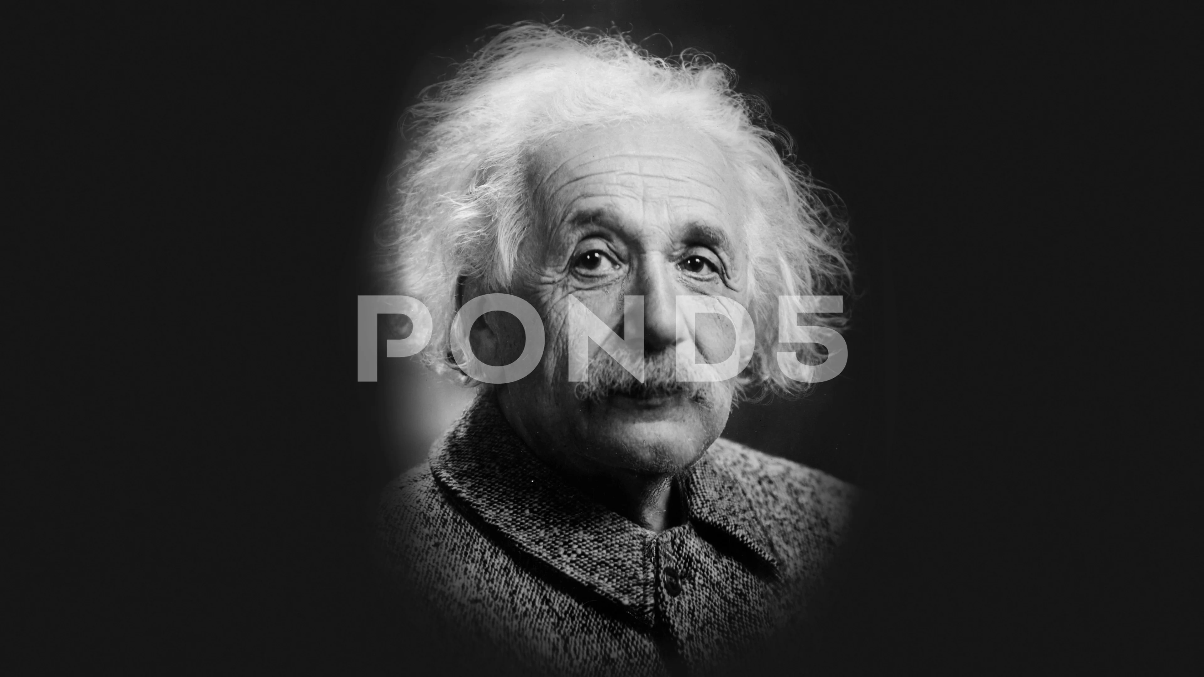 Detail Animasi Albert Einstein Nomer 44
