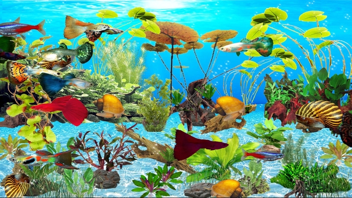 Detail Animasi Aquarium Bergerak Nomer 16