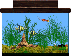 Detail Animasi Aquarium Bergerak Nomer 4