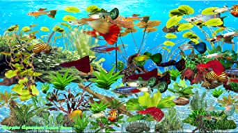 Detail Animasi Aquarium Bergerak Nomer 35