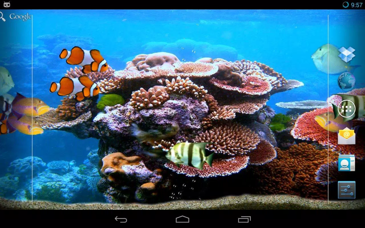 Detail Animasi Aquarium Bergerak Nomer 51