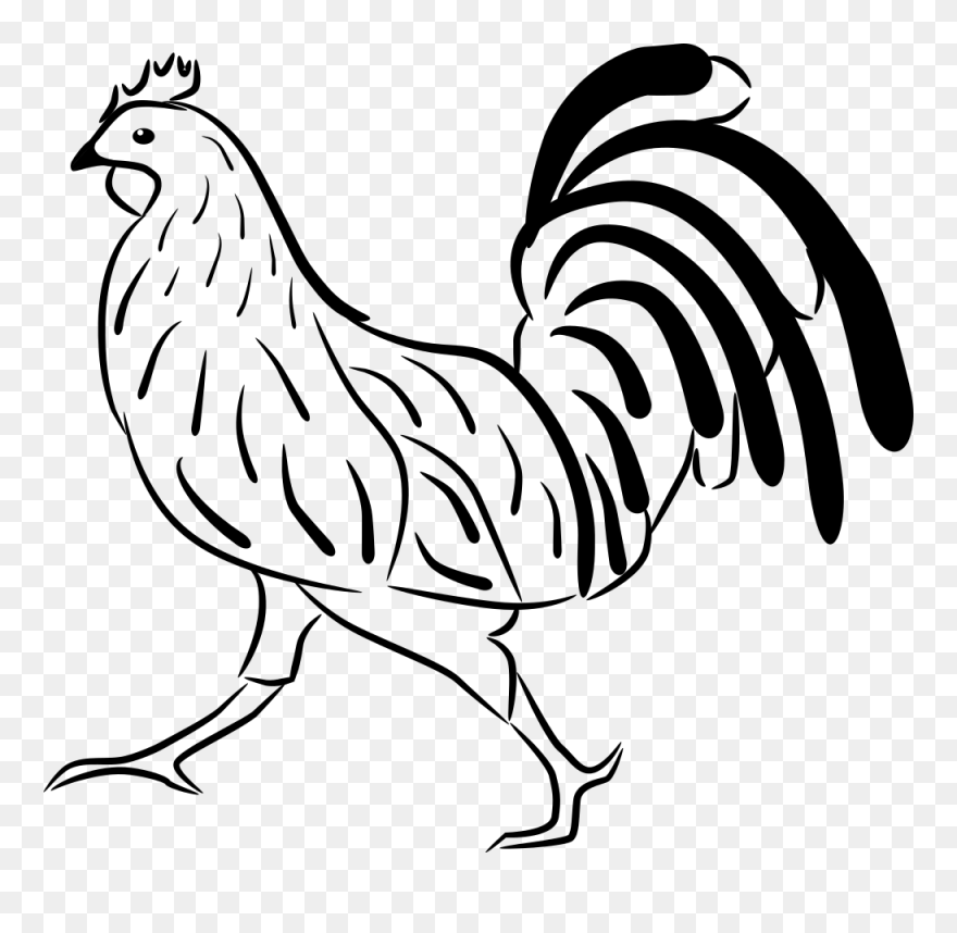 Detail Animasi Ayam Png Nomer 47