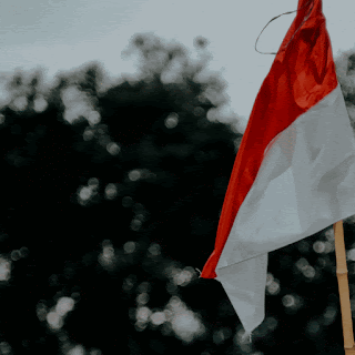 Detail Animasi Bergerak Sumpah Pemuda Nomer 10