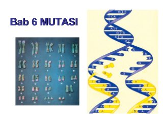 Detail Animasi Biologi Power Point Nomer 44