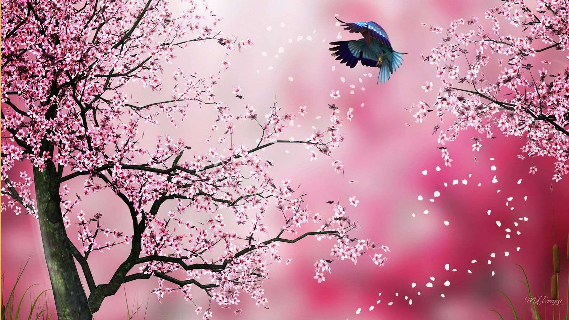 Detail Animasi Bunga Sakura Bergerak Nomer 30