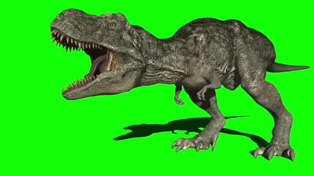 Detail Animasi Dinosaurus Bergerak Nomer 2