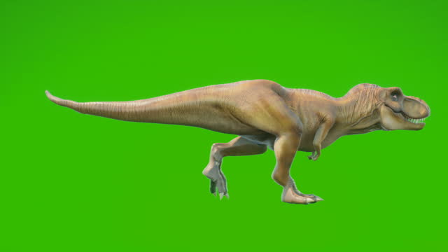 Detail Animasi Dinosaurus Bergerak Nomer 13