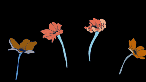 Detail Animasi Flower Gif Nomer 29