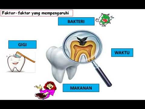 Detail Animasi Gambar Gigi Nomer 21
