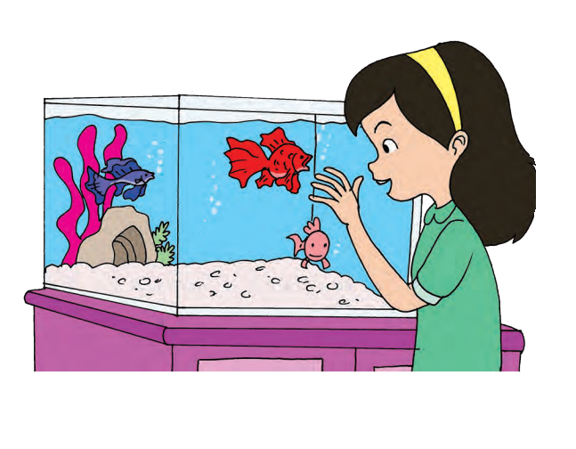 Detail Animasi Gambar Hiasan Aquarium Nomer 21