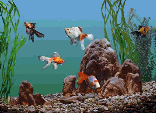 Detail Animasi Gambar Hiasan Aquarium Nomer 8
