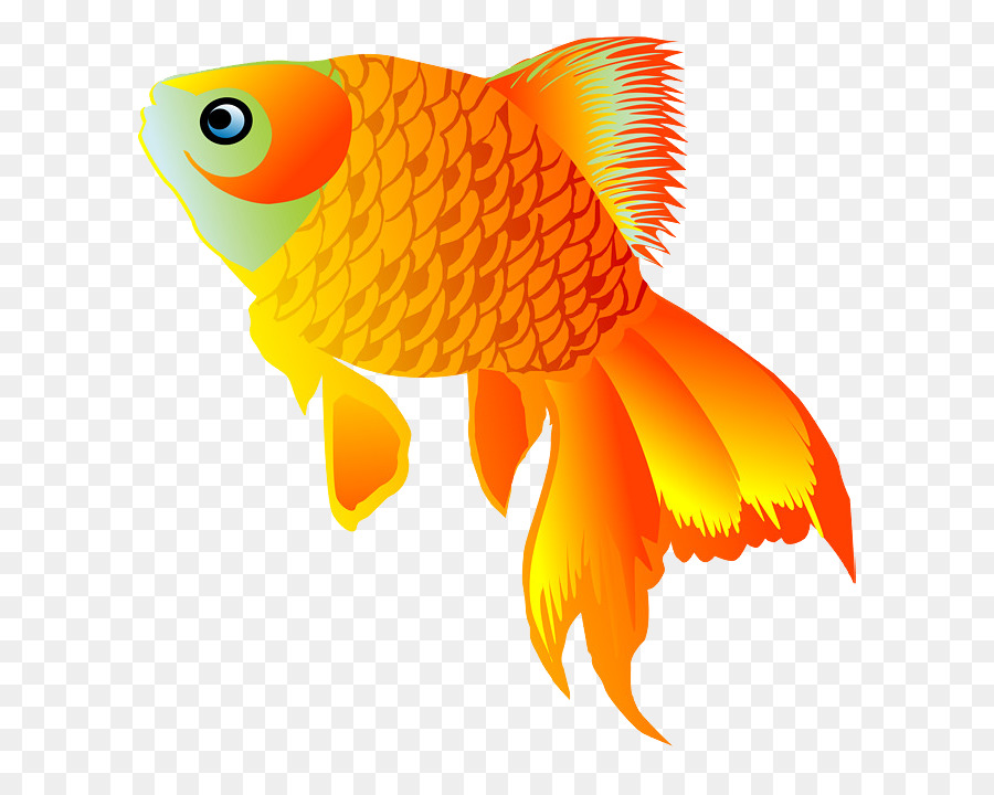 Detail Animasi Gambar Ikan Mas Koi Nomer 20