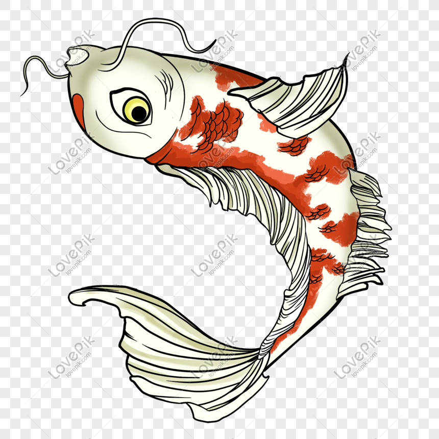 Detail Animasi Gambar Ikan Mas Koi Nomer 22