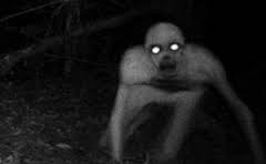 Detail Animasi Hantu Bergerak Nomer 17