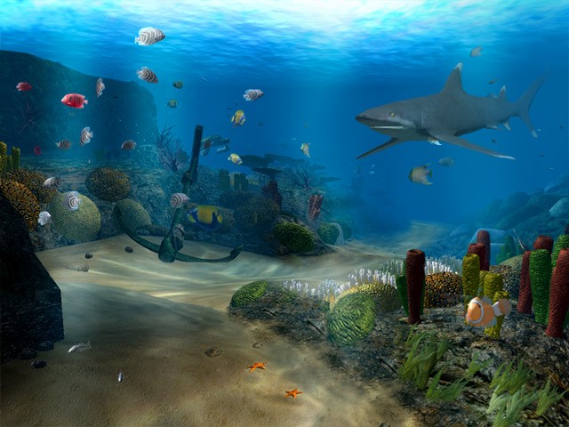 Detail Animasi Ikan Laut Bergerak Nomer 40