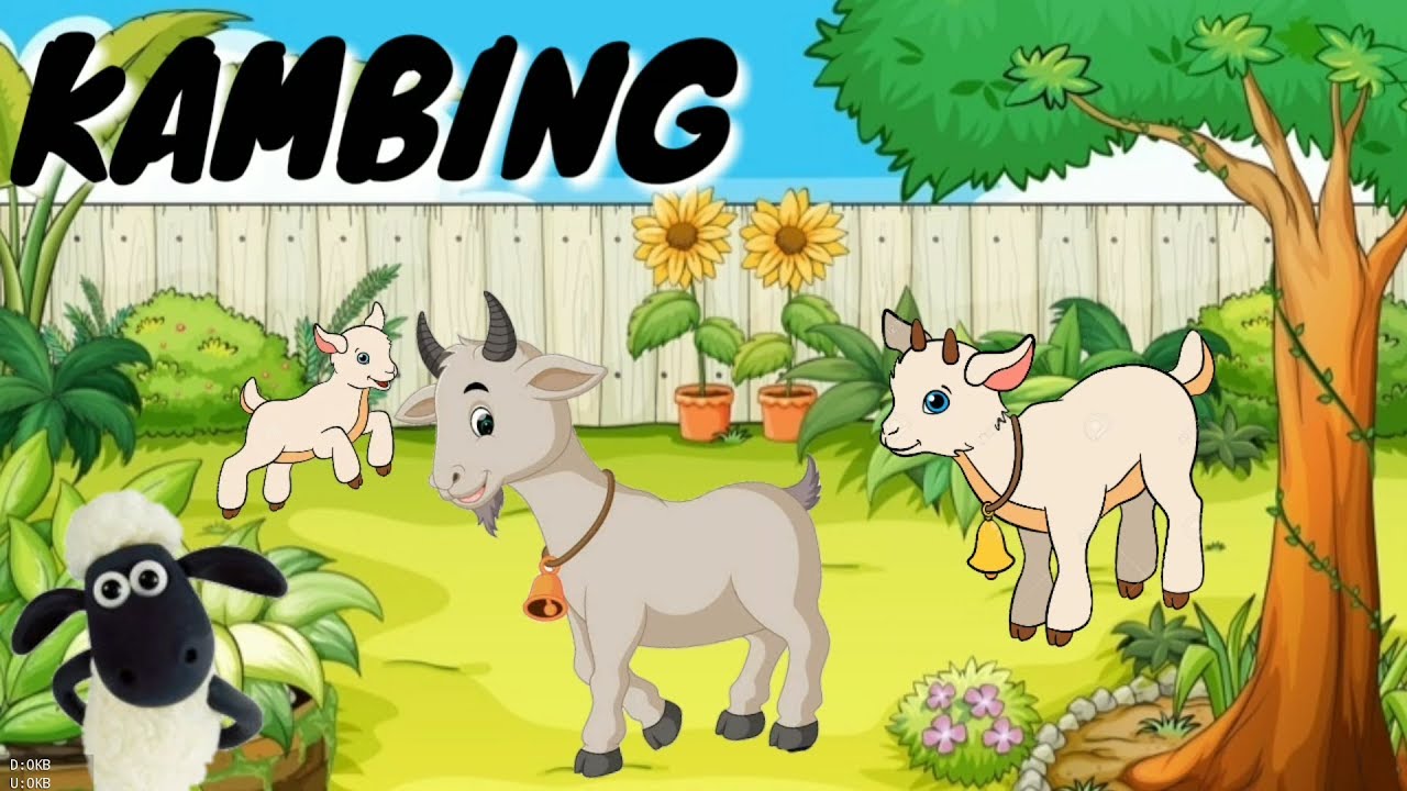 Detail Animasi Kambing Lucu Nomer 9