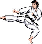 Detail Animasi Karate Gif Nomer 34