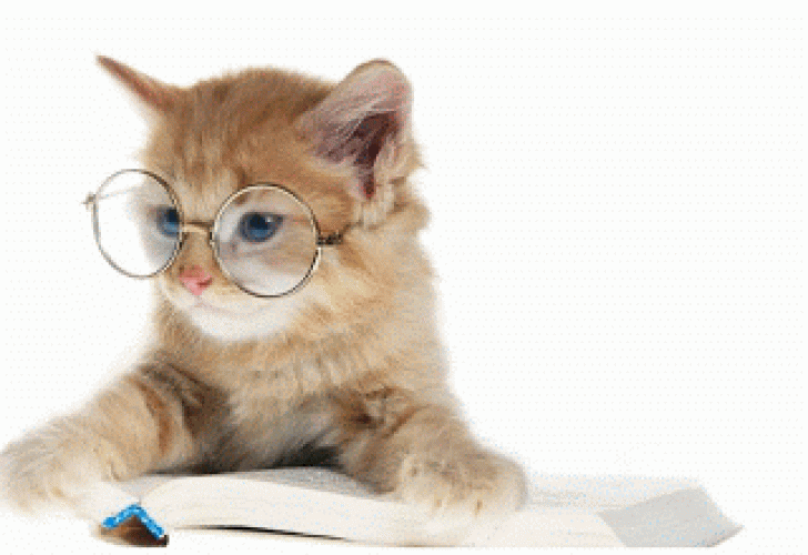 Detail Animasi Kucing Kartun Bergerak Nomer 15