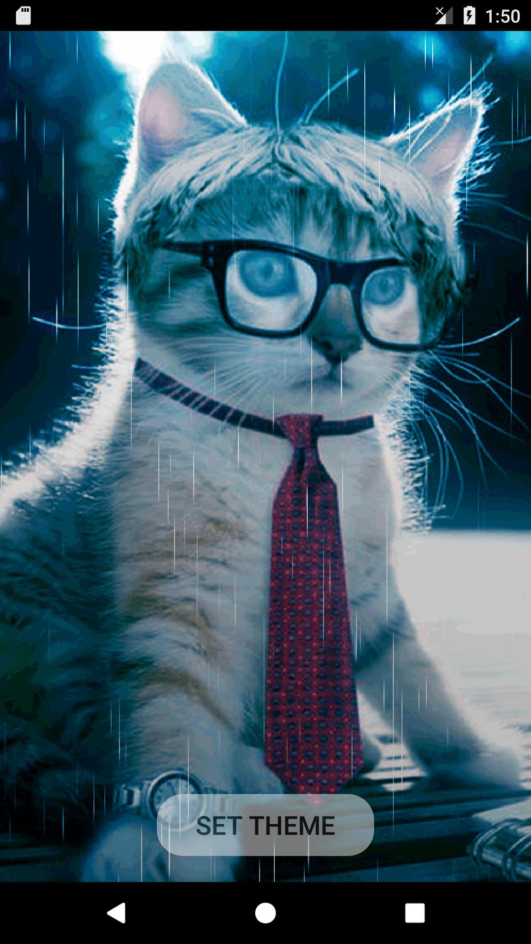 Detail Animasi Kucing Kartun Bergerak Nomer 34