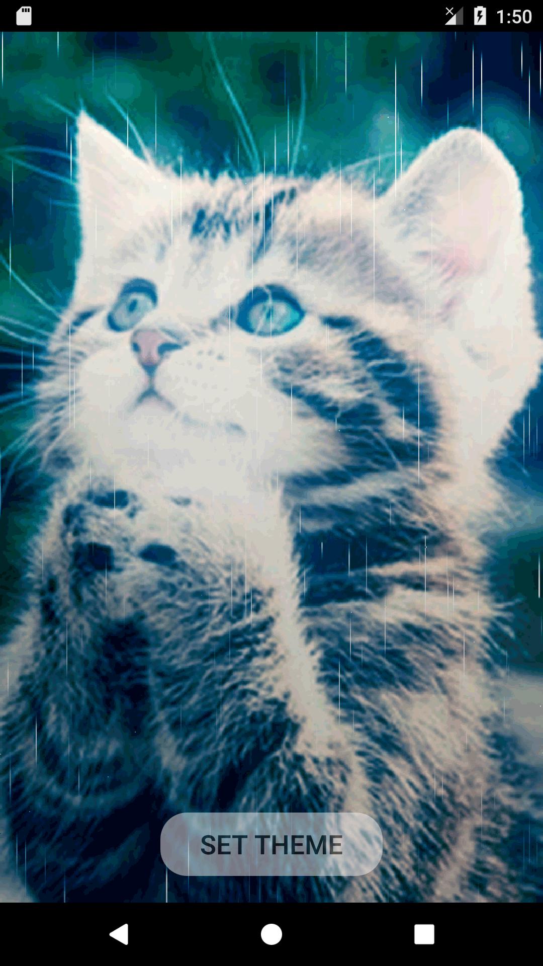 Detail Animasi Kucing Kartun Bergerak Nomer 48