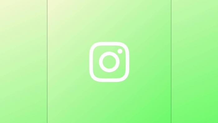 Detail Animasi Logo Instagram Green Screen Nomer 36